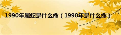 1990年什么命